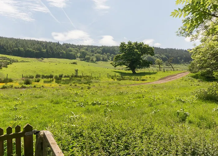 Westerdale Barn - 27944 * Kildale